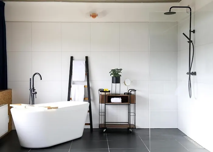 At 7 رايسفايك