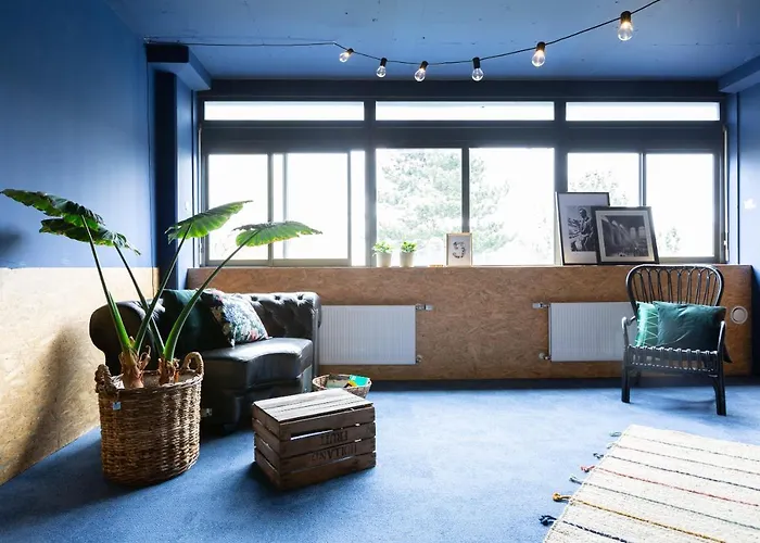 At 7 3* رايسفايك